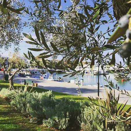 Ariadni Sani * Sani (Chalkidiki)