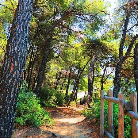 Ariadni Sani * Sani (Chalkidiki)